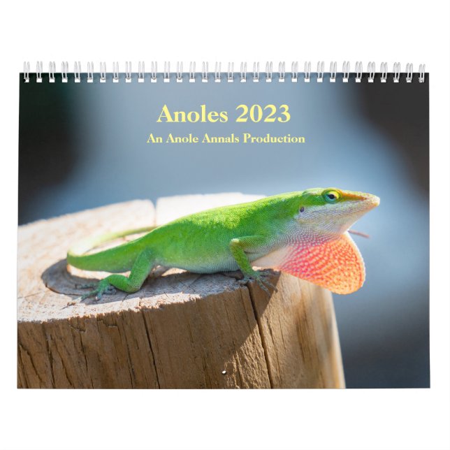 MediumCalendar med två sidor, vit Kalender (Omslag)