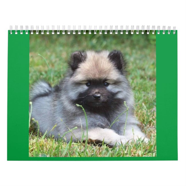 MediumCalendar med två sidor, vit Kalender (Omslag)