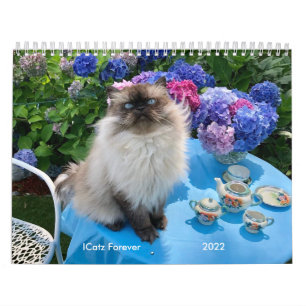 MediumCalendar med två sidor, vit kalender