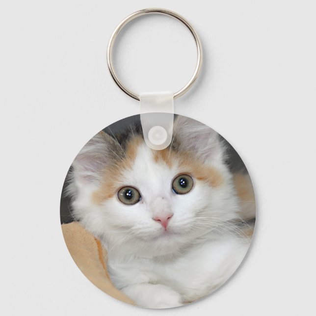Mediumhair Calico Shelter Kitten Keychain Nyckelring (Framsida)