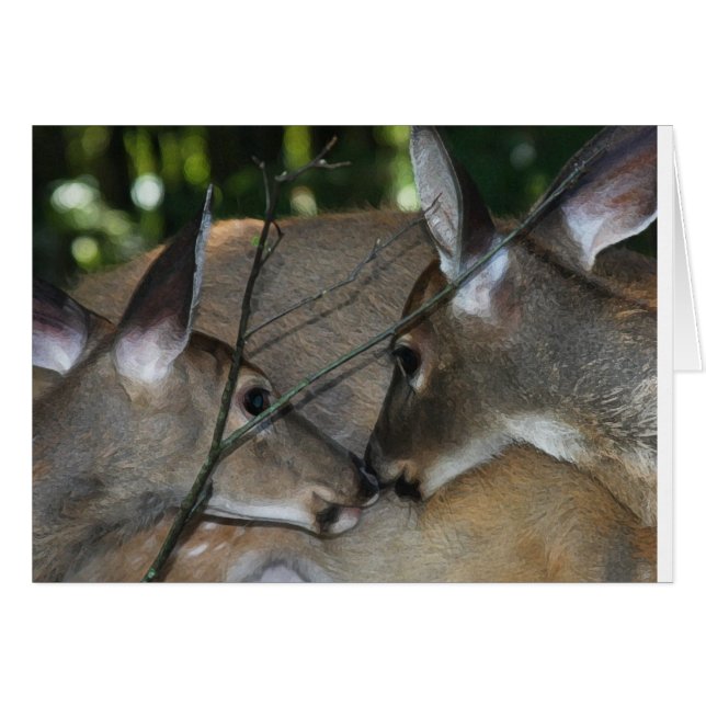 Medkänsla & respekt av naturen hälsningskort (Framsidan Horizontal)