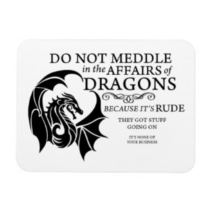 Medla inte med Dragons flexibla fotomagnet Magnet