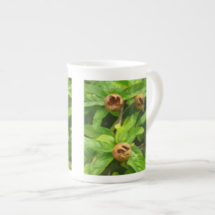 MEDLAR FRUIT BENPORSLIN MUGG