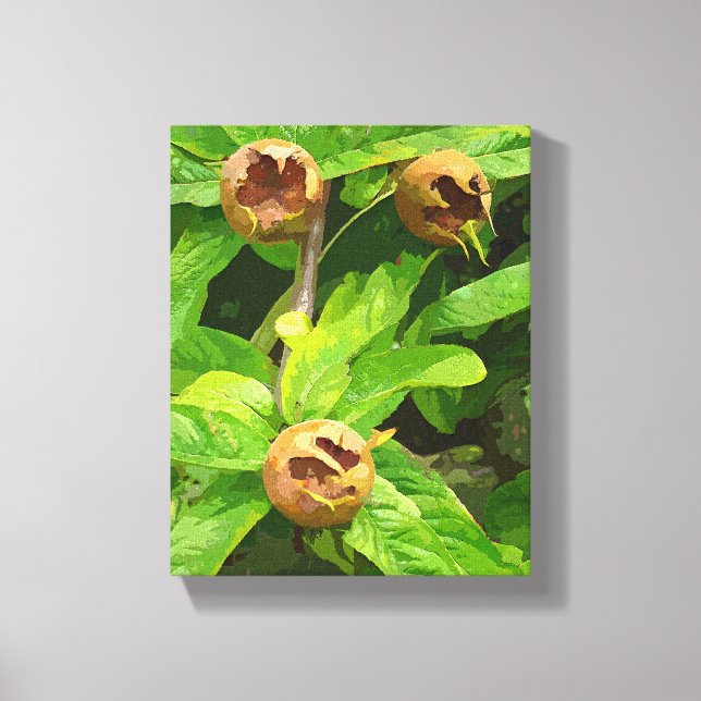 MEDLAR FRUIT CANVASTRYCK (Framsida)