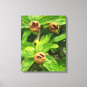 MEDLAR FRUIT CANVASTRYCK