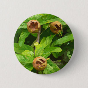 MEDLAR FRUIT KNAPP
