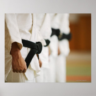 Medlemmar av en uppställd JudoDojo Poster