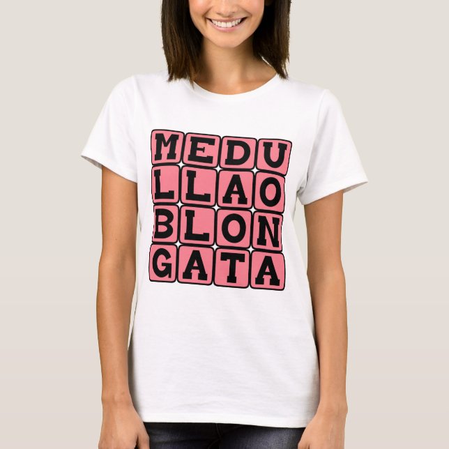 Medulla Oblongata, Nedre hjärnstam Tee (Framsida)