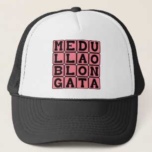Medulla Oblongata, Nedre hjärnstam Truckerkeps