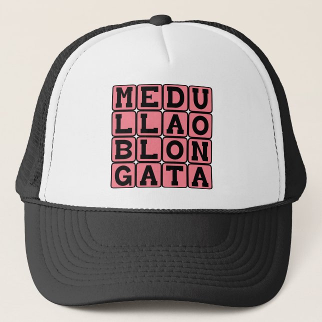 Medulla Oblongata, Nedre hjärnstam Truckerkeps (Framsida)
