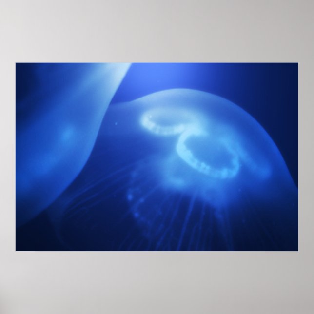 Medusa 1 poster (Framsidan)