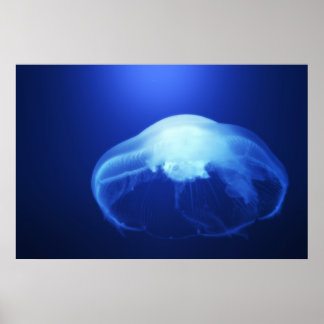 Medusa 2 poster