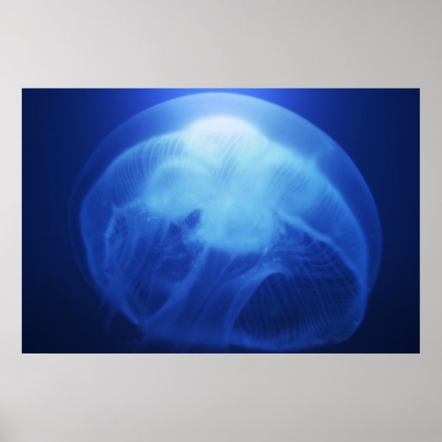 Medusa 3 poster (Framsidan)
