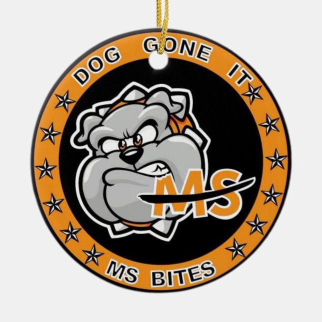 Medvetenhet för åtskillig Sclerosis Julgransprydnad Keramik (Framsidan)