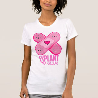 Medvetenhet om cancer i Sjukdom vid implantatet T Shirt