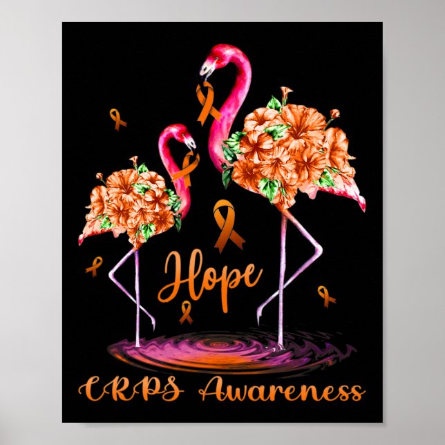 Medvetenhet om Flamingo Crps Poster (Framsidan)