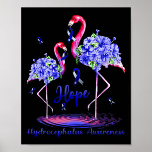 Medvetenhet om hydrocefalus poster