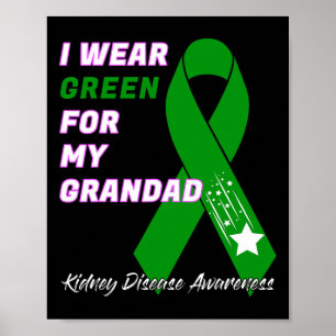Medvetenhet om njursjukdom Dialys Transplant Patie Poster