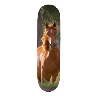 "Medvetenhet" Skateboard