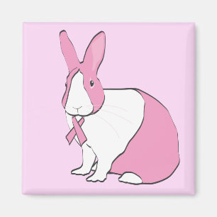 MEDVETENHETBULLE MAGNET