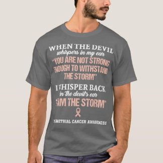 Medvetenheten om cancer i Endometrien är jag storm T Shirt