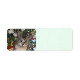 Meece Cat God jul Returetiketter Returadress Etikett