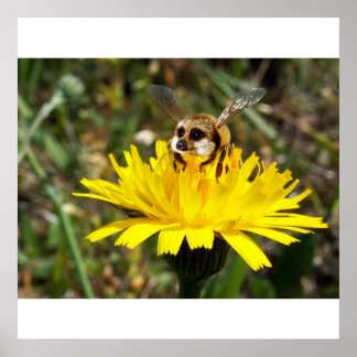 Meerbee poster