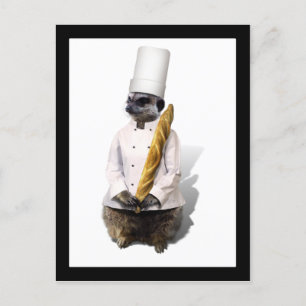 Meercat Chef with Baguette Vykort