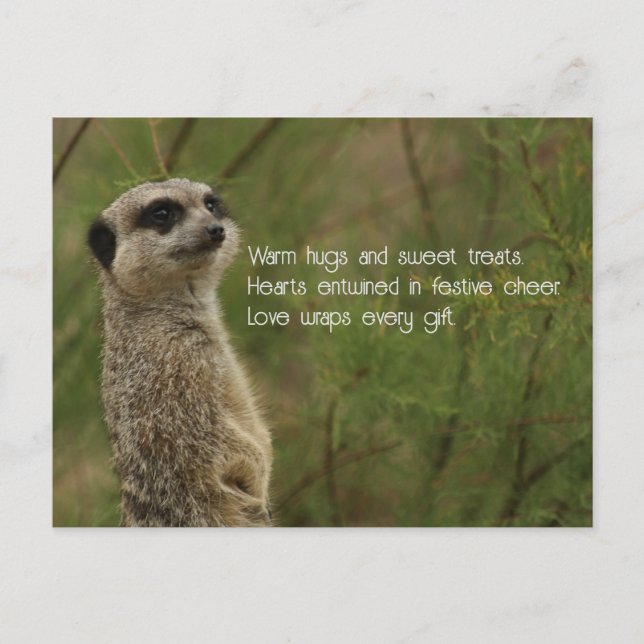 Meercat Haiku Helgdag-kort Helg Vykort (Framsida)