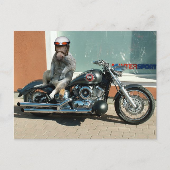 Meerhorse biker vycard vykort (Framsida)