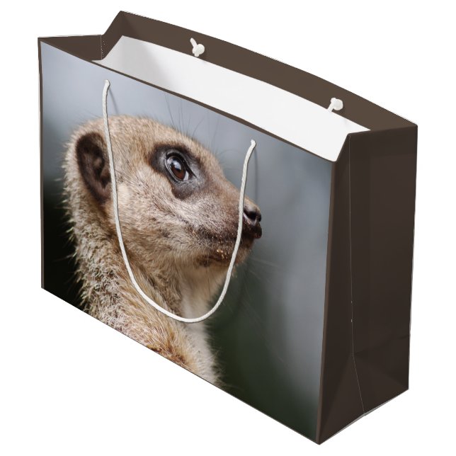 Meerkat (Baksidan Vinklad)