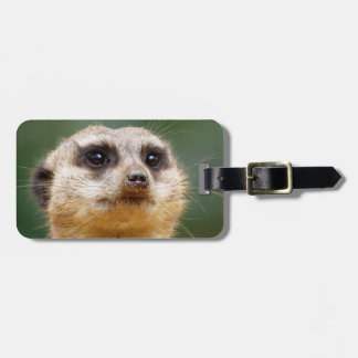 Meerkat20151001 Bagagebricka