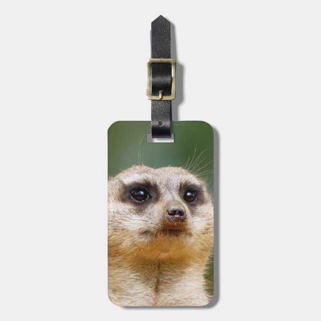 Meerkat20151001 Bagagebricka (Vertikal Framsida)
