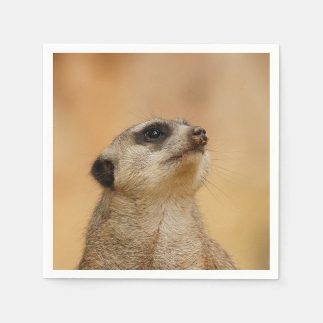 Meerkat20151002 Pappersservett (Framsidan)
