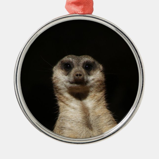 Meerkat20151010 Julgransprydnad Metall (Framsidan)