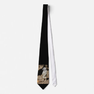 Meerkat20160203 Slips