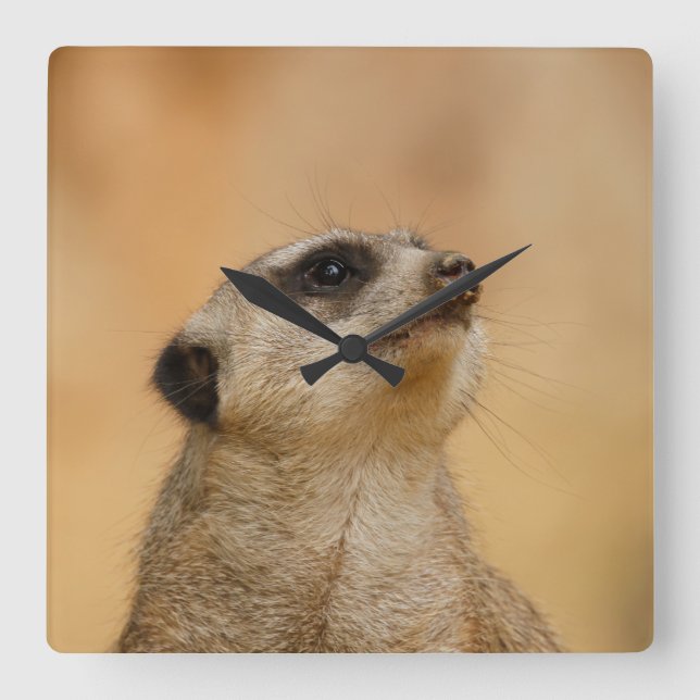 Meerkat 001 från JAMFoto Fyrkantig Klocka (Framsida)