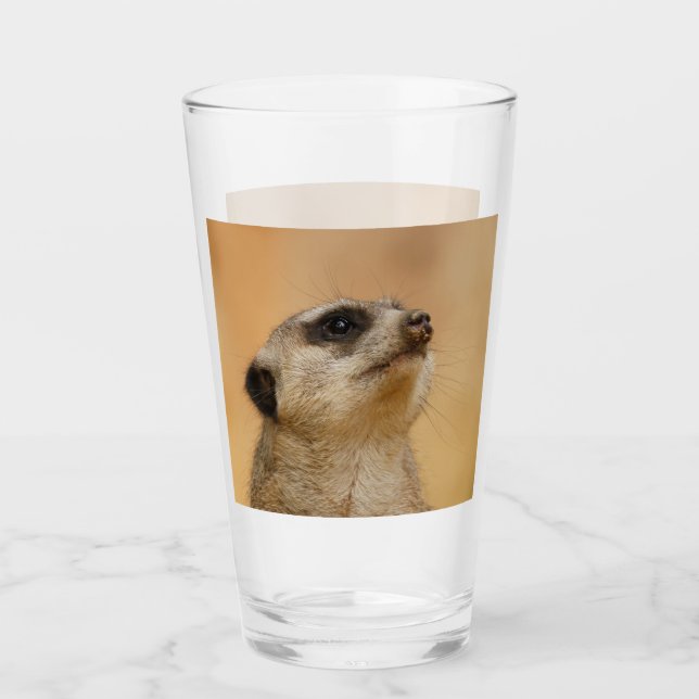 Meerkat 001 från JAMFoto Glaskopp (Framsida)
