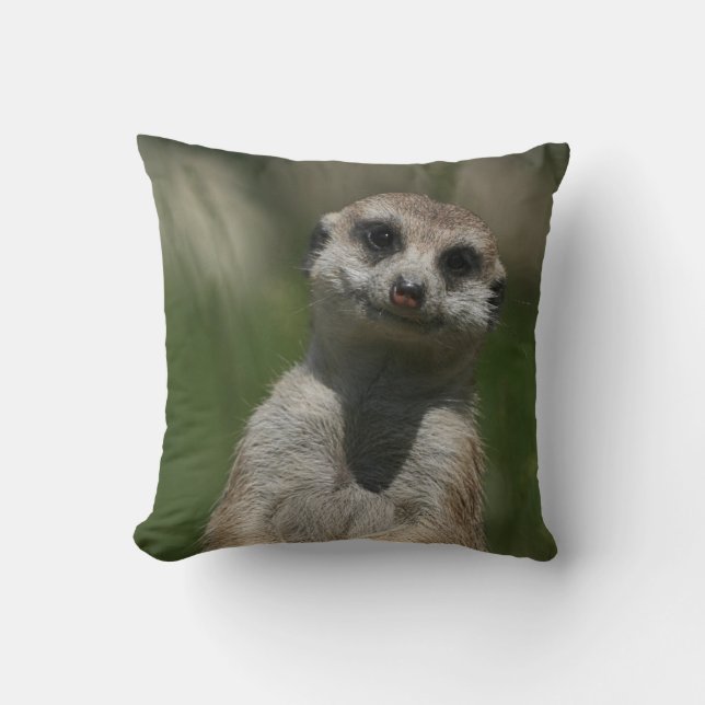 Meerkat 004 kudde (Framsida)