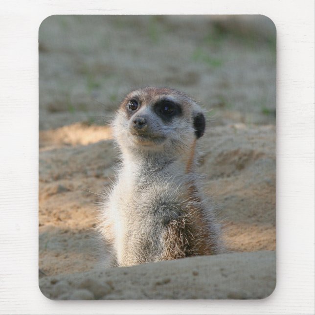 Meerkat 004 musmatta (Framsidan)
