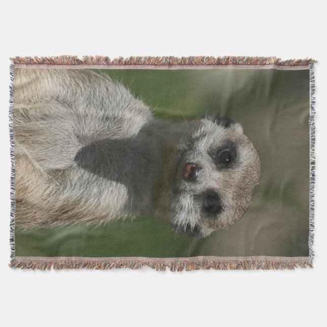 Meerkat 004 mysfilt (Framsidan)
