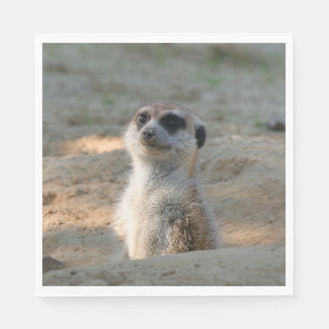 Meerkat 004 pappersservett (Framsidan)