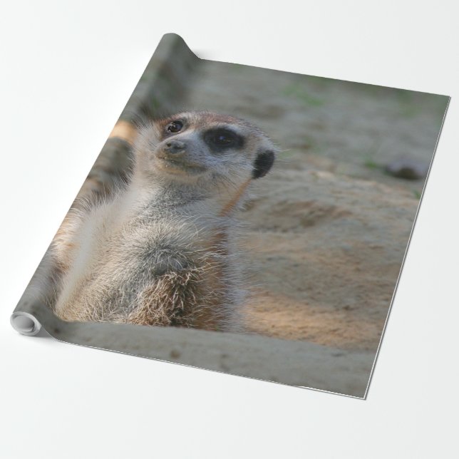 Meerkat 004 presentpapper (Utrullad)