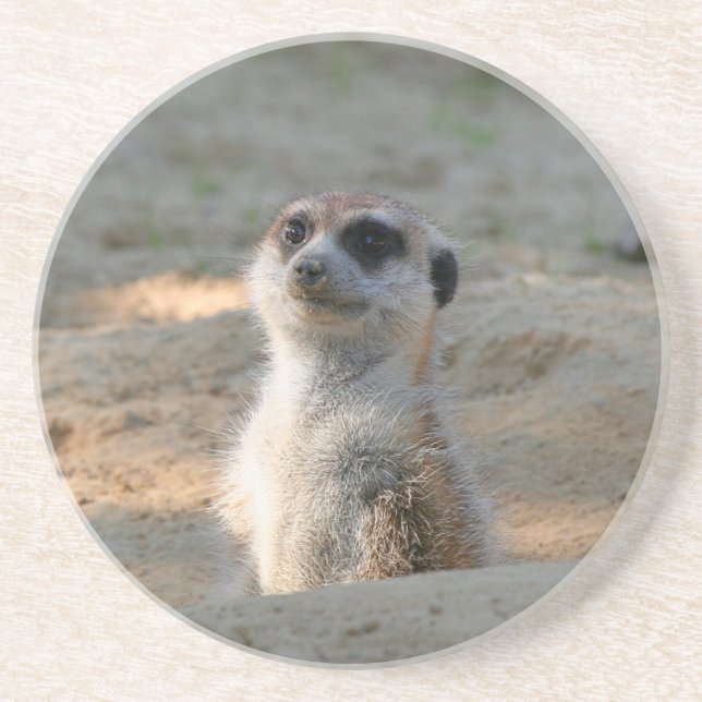 Meerkat 004 underlägg (Framsidan)