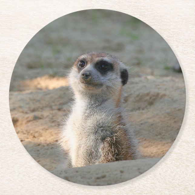 Meerkat 004 underlägg papper rund (Framsidan)