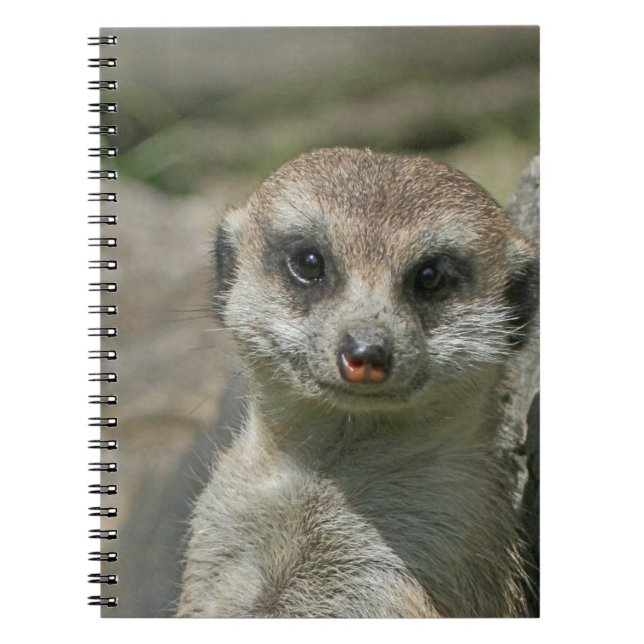 Meerkat 005 anteckningsbok med spiral (Framsidan)