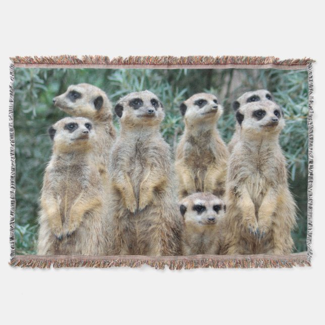 Meerkat 006 filt (Framsidan)