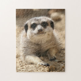 Meerkat 006 pussel