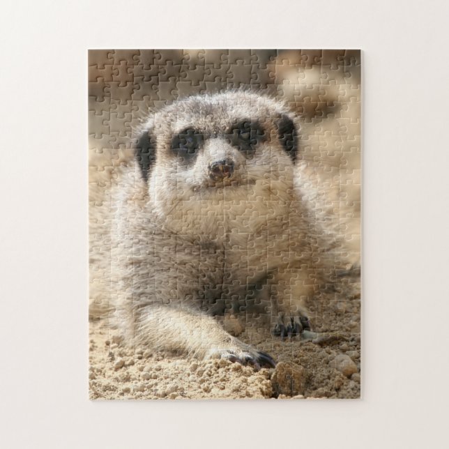 Meerkat 006 pussel (Vertikal)