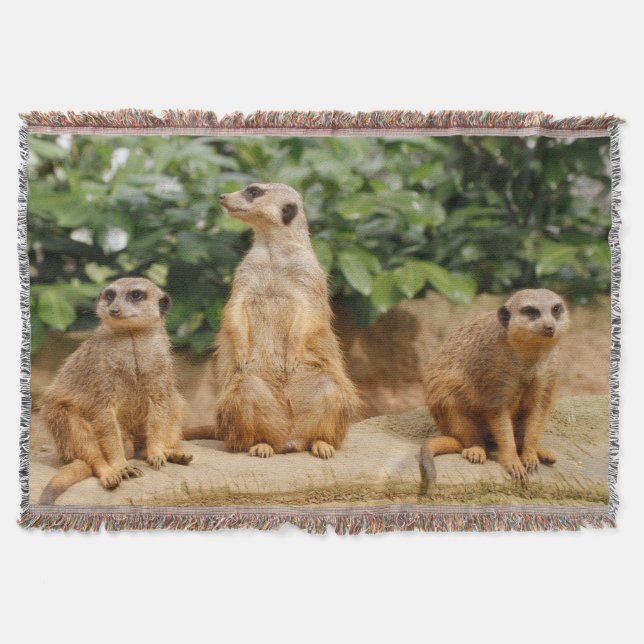 Meerkat 008 filt (Framsidan)